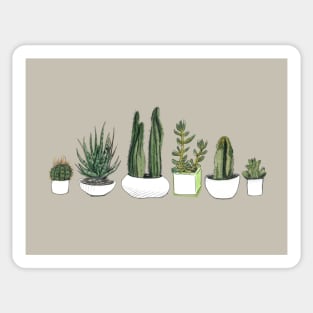 Watercolour Cacti & Succulents – Beige Sticker